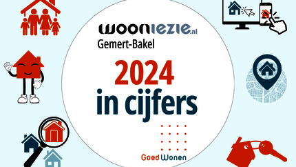 Decoratieve afbeelding voor Wooniezie jaarcijfers 2024